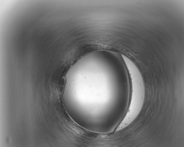 X0000060810613200511171310