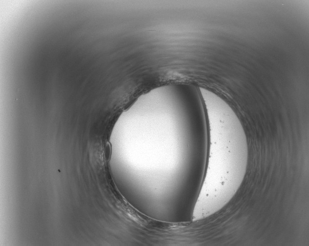 X0000060810617200511171310