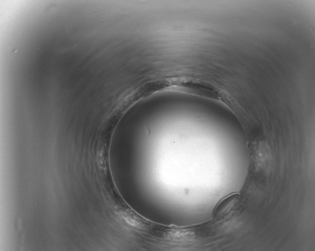 X0000060810619200511171310