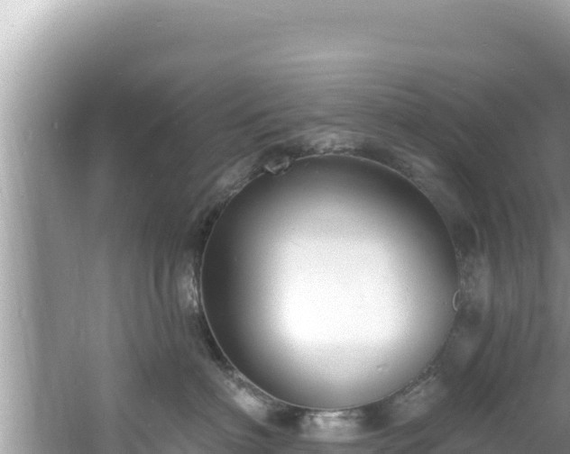 X0000060810622200511171310