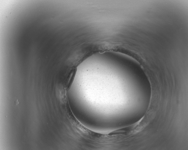 X0000060810624200511171310