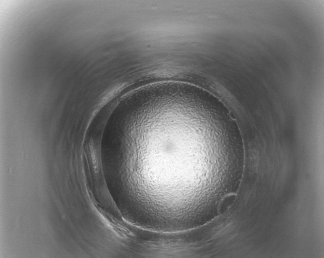 X0000060810626200511171309