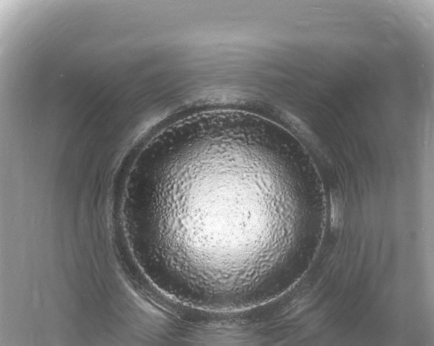 X0000060810627200511171309