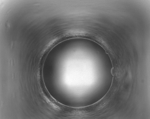 X0000060810629200511171309