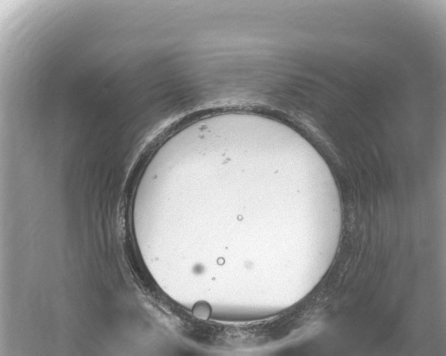 X0000060810632200511171309