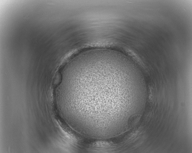 X0000060810636200511171309