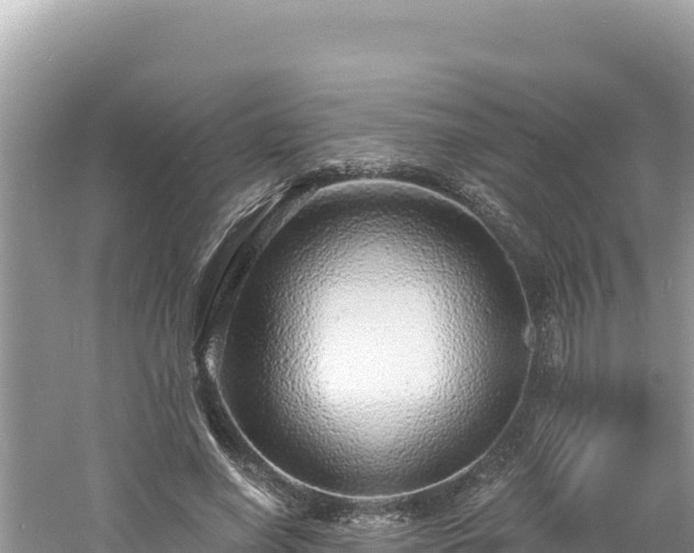 X0000060810638200511171309