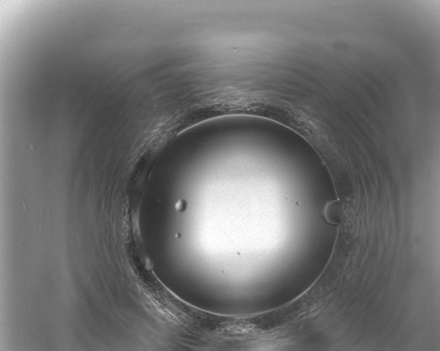 X0000060810642200511171309