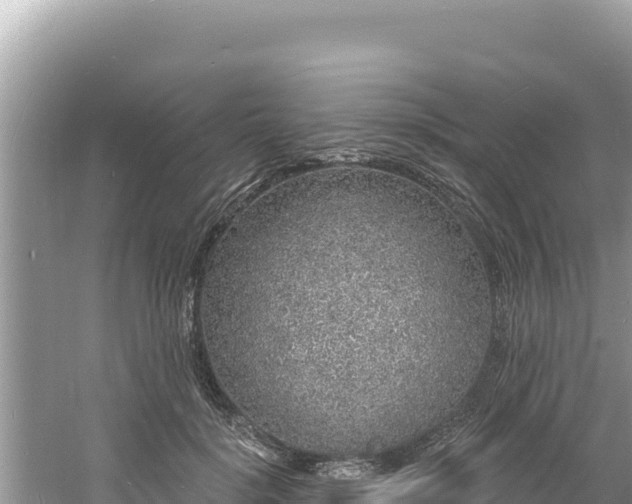 X0000060810652200511171309