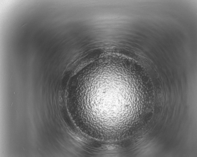 X0000060810654200511171310