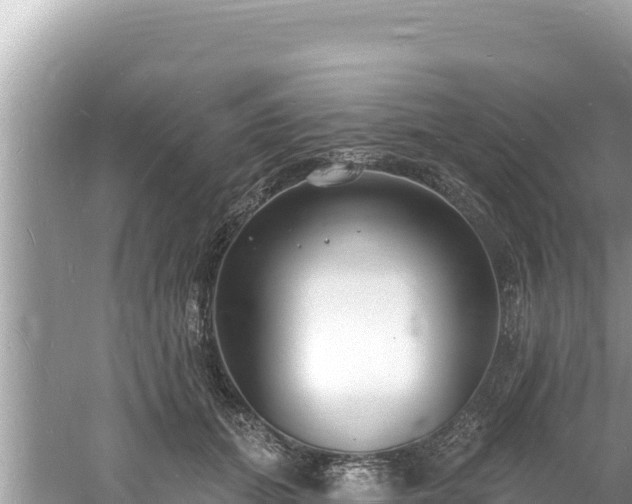 X0000060810655200511171310