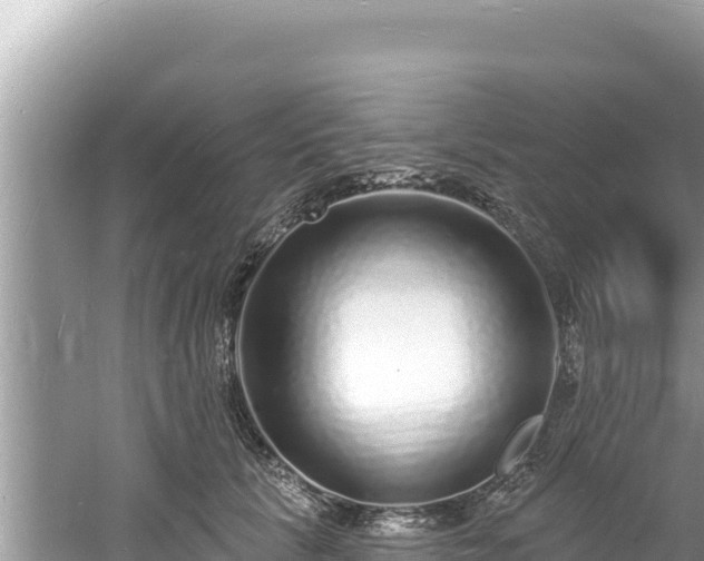 X0000060810657200511171310