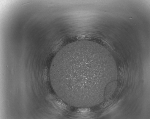 X0000060810659200511171310