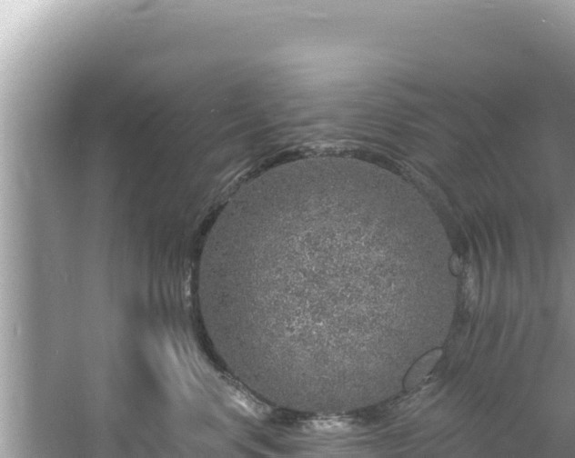 X0000060810668200511171310