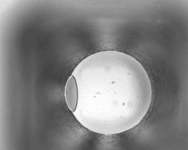 X0000060810672200511171310