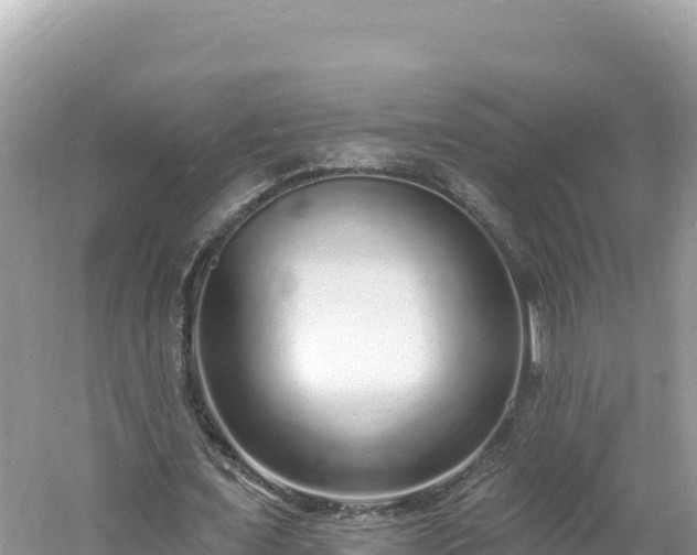 X0000060810675200511171309