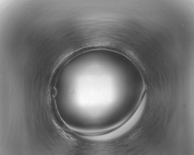 X0000060810676200511171309