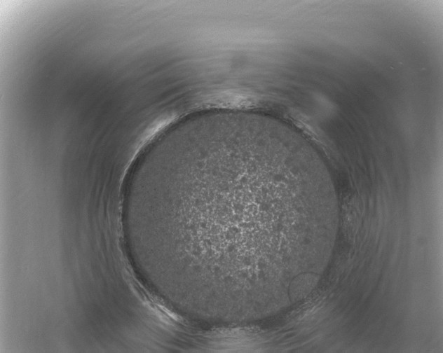 X0000060810679200511171309