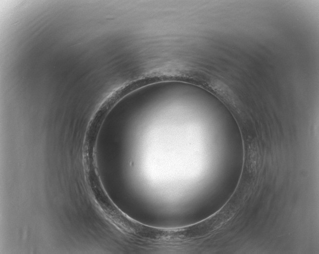 X0000060810680200511171309