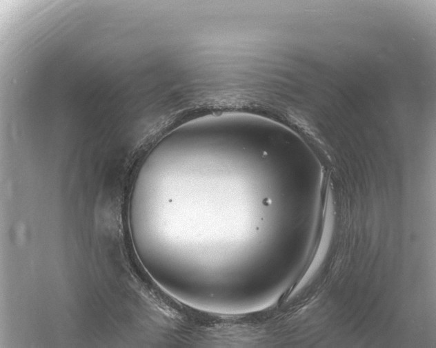 X0000060810681200511171309