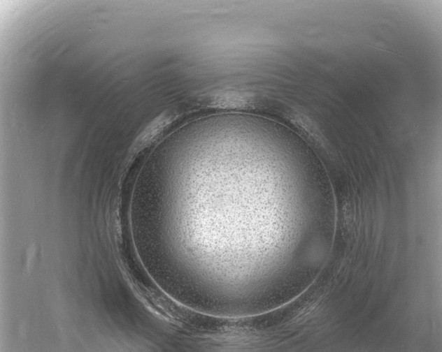 X0000060810682200511171309