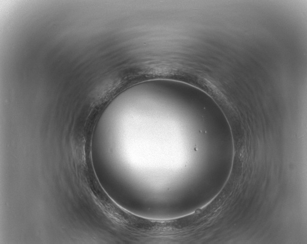 X0000060810685200511171309