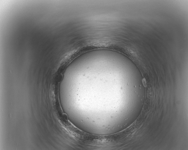 X0000060810688200511171309