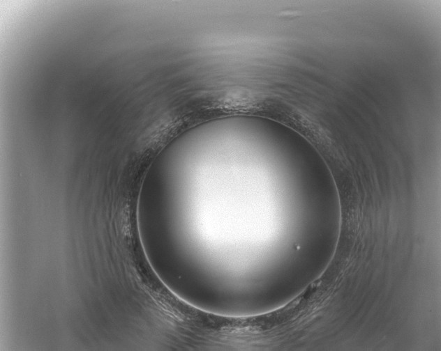 X0000060810689200511171309