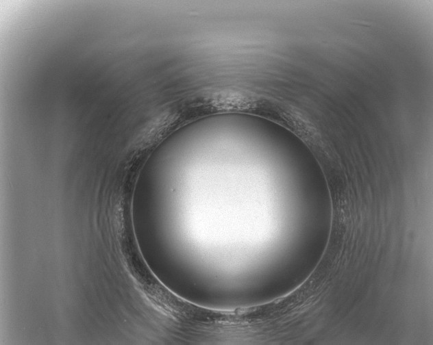 X0000060810690200511171309