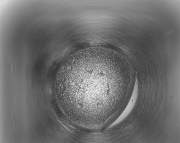 X0000060810691200511171309