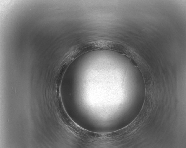 X0000060810696200511171309