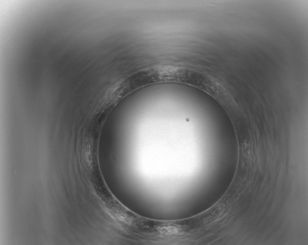 X0000060810698200511171309