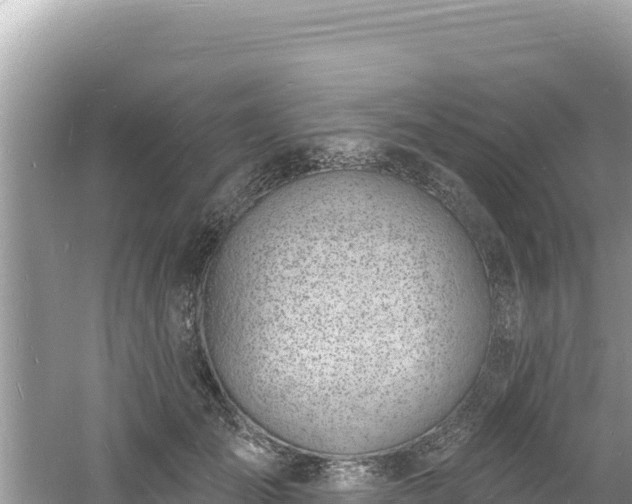 X0000060810701200511171309