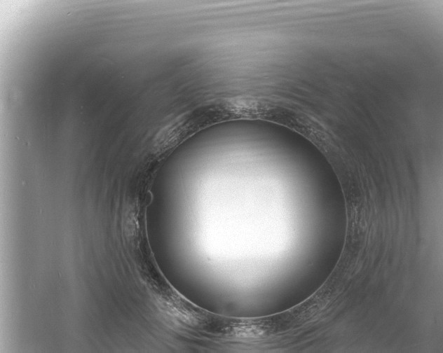 X0000060810702200511171309