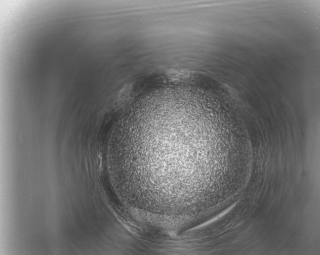 X0000060810703200511171309