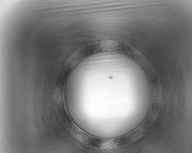 X0000060810705200511171308