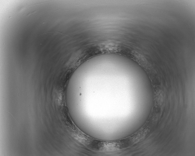 X0000060810709200511171308