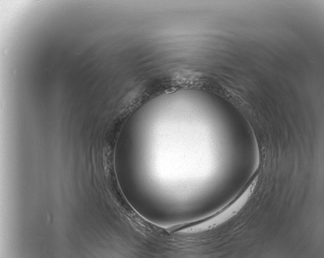 X0000060810712200511171308