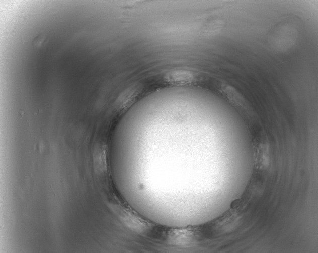 X0000060810717200511171308