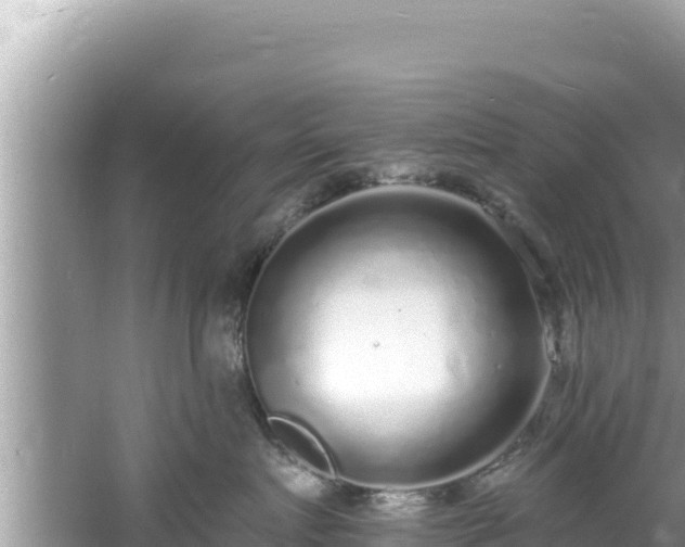 X0000060810719200511171308