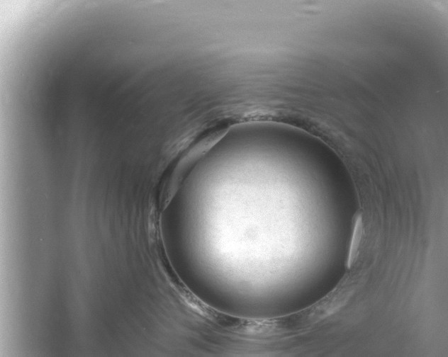 X0000060810720200511171308