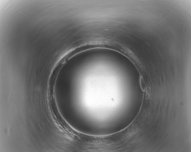 X0000060810724200511171307