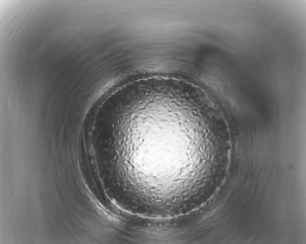 X0000060810725200511171307