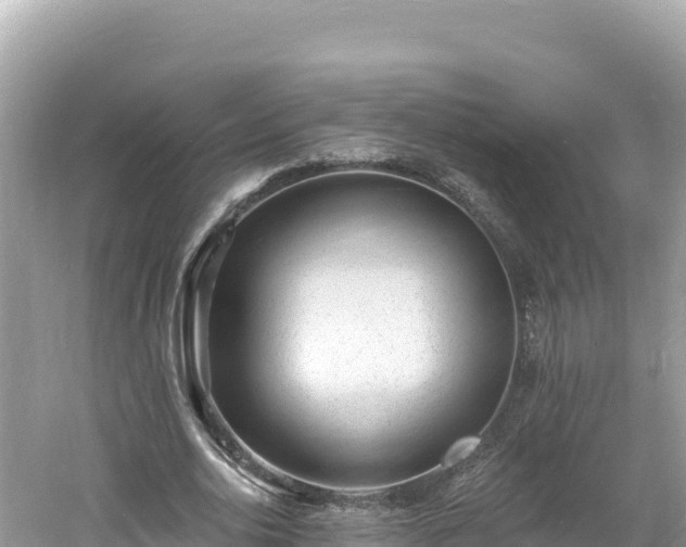 X0000060810726200511171307