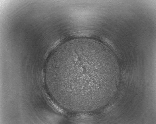 X0000060810729200511171308