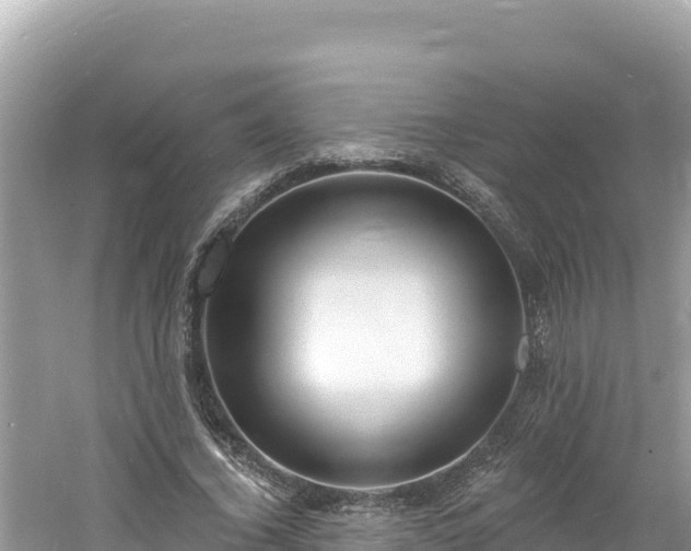 X0000060810732200511171308