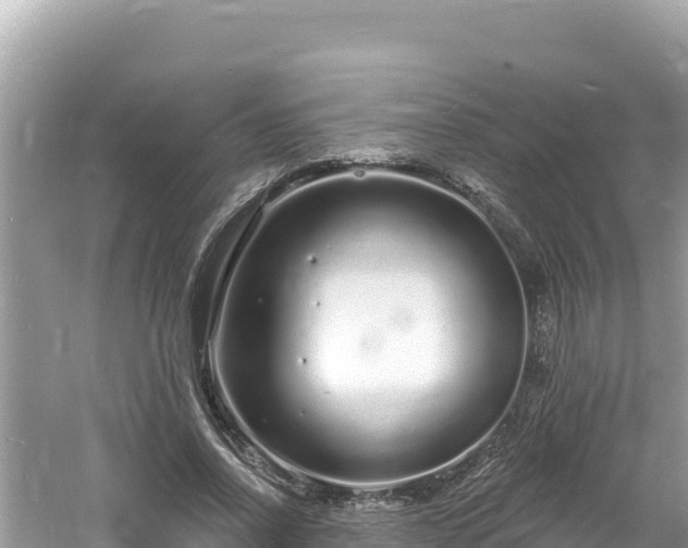 X0000060810734200511171308