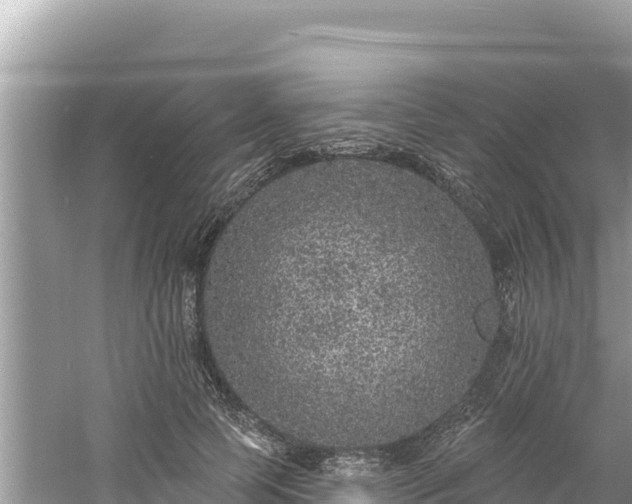 X0000060810745200511171308