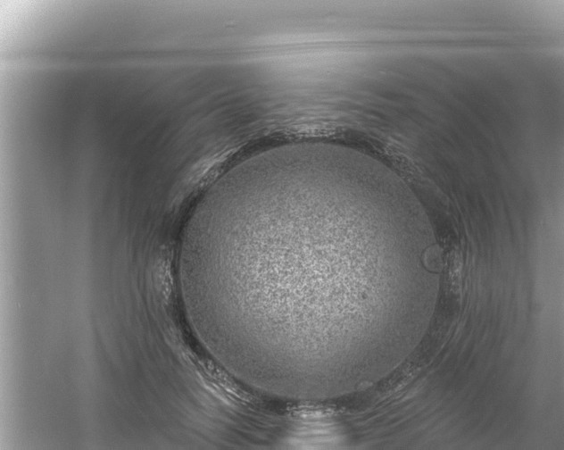 X0000060810746200511171308