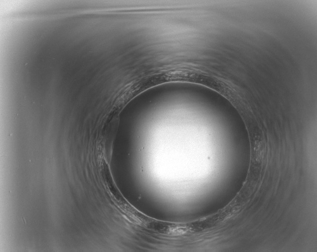 X0000060810753200511171308